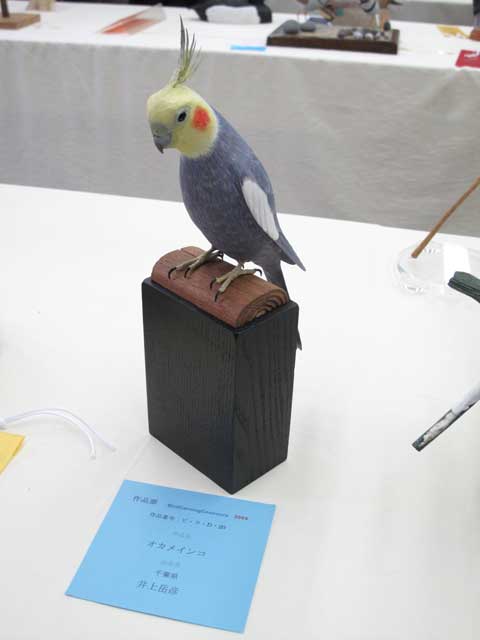 オカメインコ2009応募