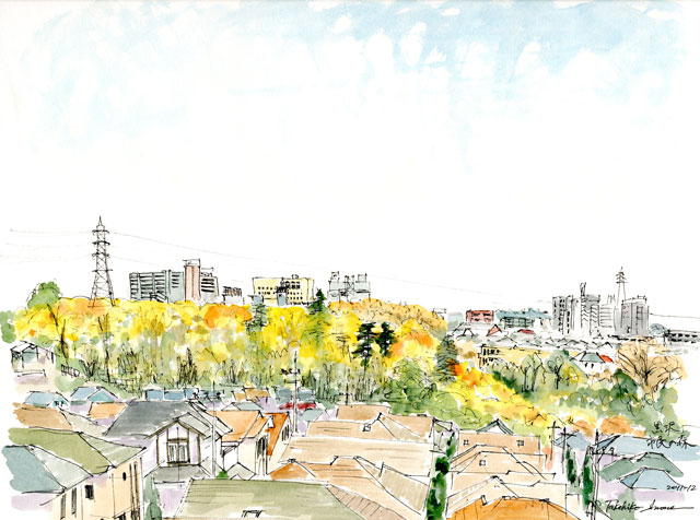 黒沢池市民の森
