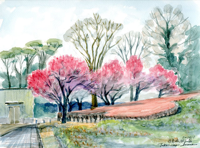 2020watercolor758c.jpg