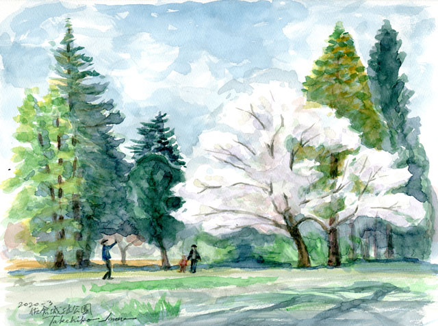 2020watercolor764c.jpg