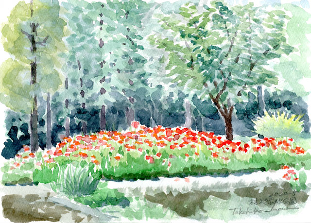 2020watercolor774c.jpg