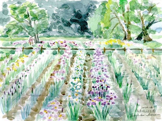 2020watercolor776c.jpg