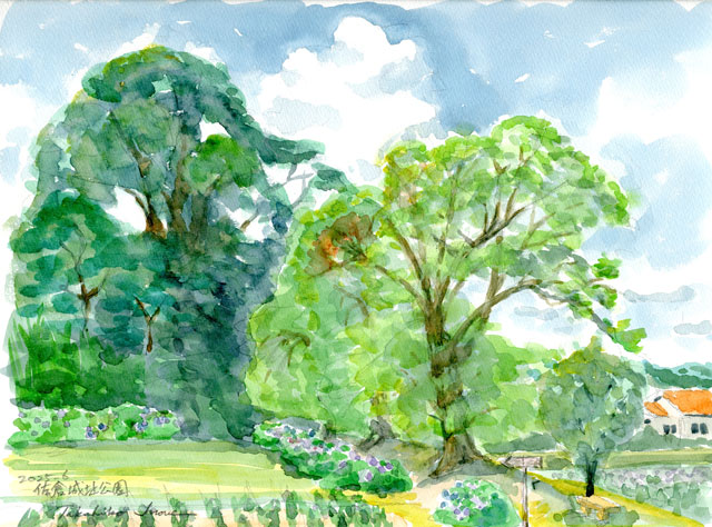 2025watercolor9476c.jpg