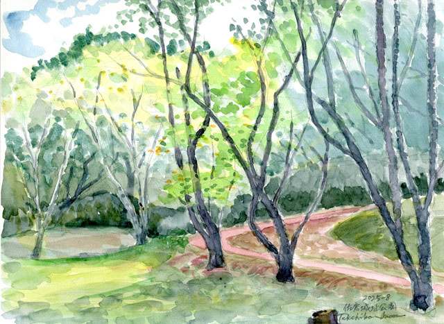 2025watercolor950c.jpg