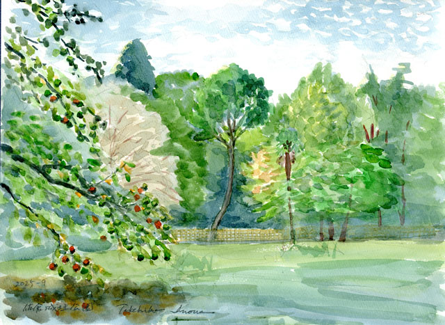 2025watercolor952c.jpg