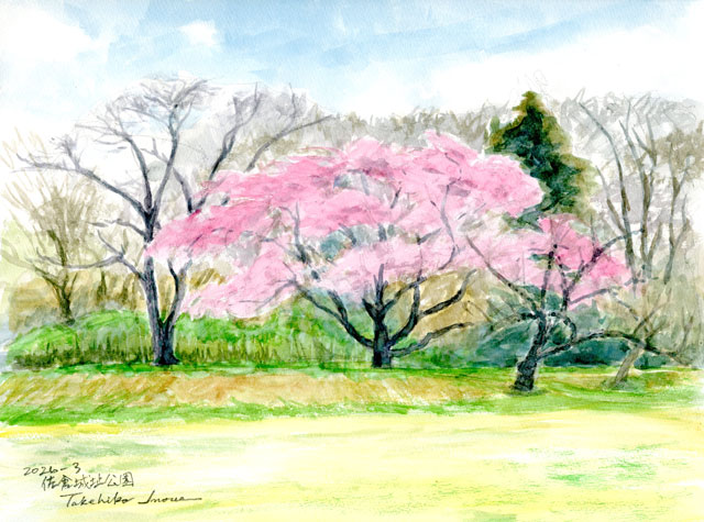 2026watercolor968c.jpg