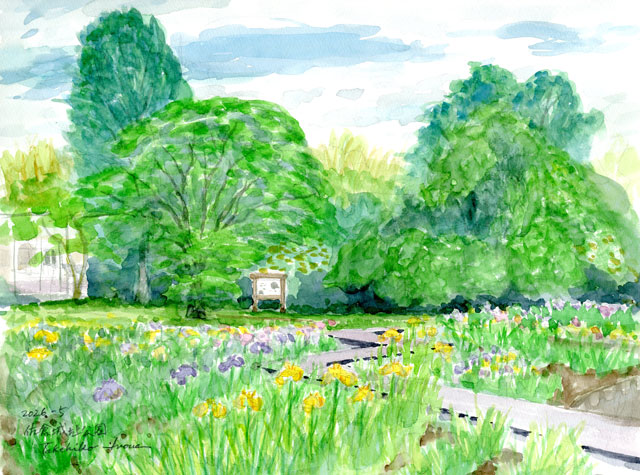 2026watercolor973c.jpg