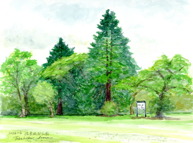 2026watercolor974c.jpg