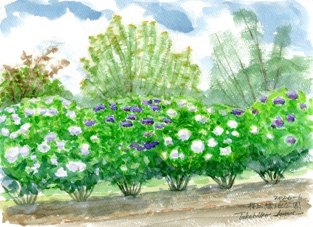 2026watercolor975c.jpg