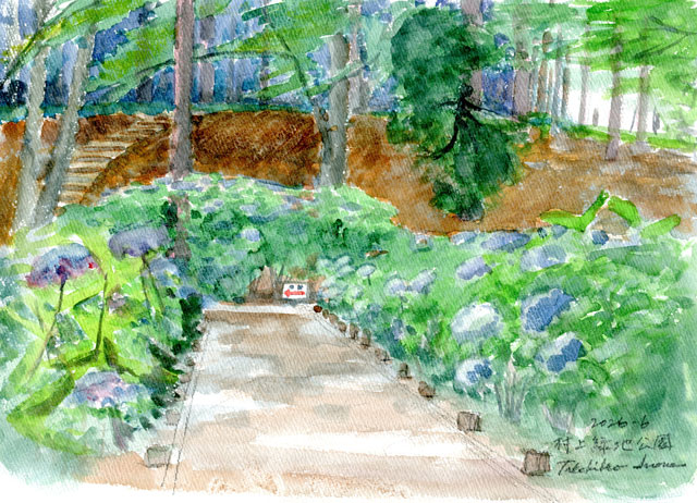 2026watercolor977c.jpg