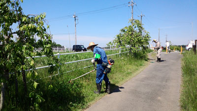 神尾橋から草刈2014-05 kusakari2014-05-11