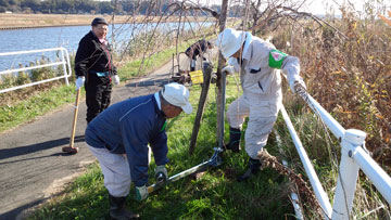 鉄杭抜き作業2014-12-杭抜き器使用 20141207_092327c.jpg
