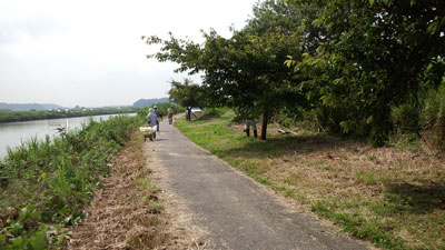 7月除草作業・水神宮付近 20150712_085748c.jpg