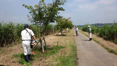 7月除草作業・花山機場付近 20150712_092049c.jpg