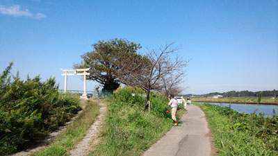 10月除草作業・水神宮付近 20151004_093512c.jpg