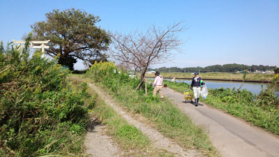10月除草作業・水神宮付近ごみ収集 20151004_093642c.jpg