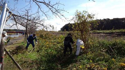 20151101_105735c.jpg