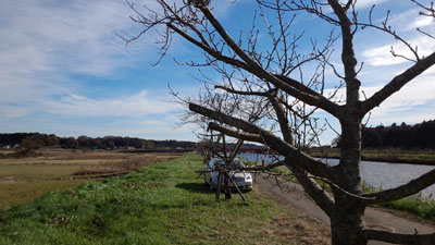 右岸1113-1132付近 20151206_102734c.jpg