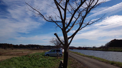 右岸1113-1132付近 20151206_103102c.jpg