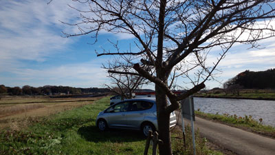 右岸1113-1132付近 20151206_103137c.jpg
