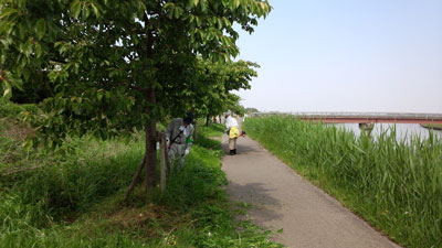 松保橋付近の除草作業 IMG_20160501_100510c.jpg