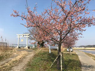水神宮付近 IMG_0161.jpg