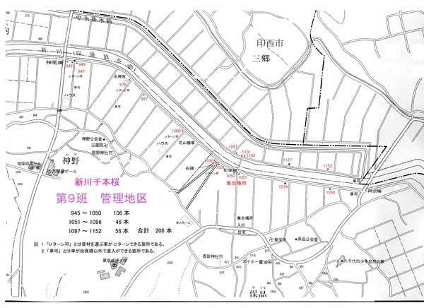 管理区域